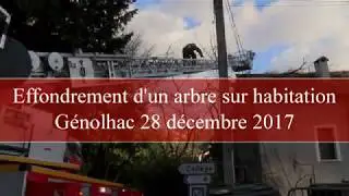 Effondrement arbre sur habitation G&eacute;nholac 28 12 2017