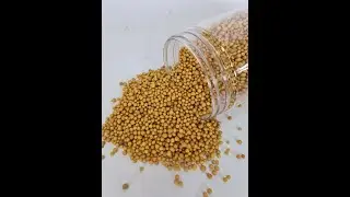What is a Slow Release Fertilizer