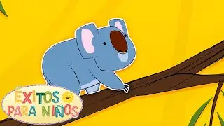 Koala la | &Eacute;xitos para Ni&ntilde;os | Mejores Canciones Infantiles y M&uacute;sica para Ni&ntilde;os