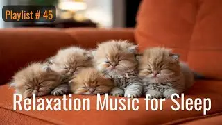 【Playlist -45】 Soothing Piano Music with Sleeping Kittens
