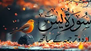 surat Yasin (yaseen) (سورۃ یس)surat Yasin Urdu Translation | 176 |Quran Tilawat Beautiful Voice