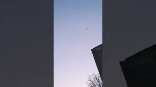 AiRpLaNe + bIrD aSmR LoL💅💅💅 #Airplane #birds #sky #aesthetic #asmr