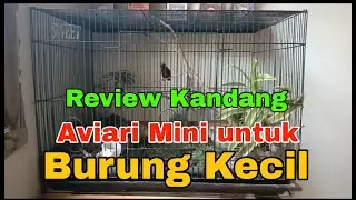 Review kandang Aviary Mini Untuk Burung kecil