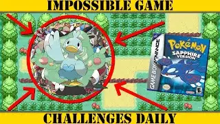 Can You Beat Pokemon Ruby With Only DUCKLETT?