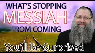 Secret Bible Prophesies of the Red Red Heifer, Parah Adumah - Messiah, Love & Kindness & World Peace