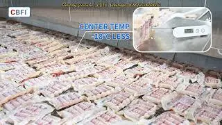 CBFI 2 tons IQF for meat processing factory sausage factory