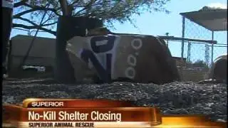 No-kill shelter in Superior is closing its doors
