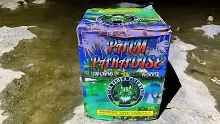Fireworks / Palm Paradise / | 200 Gram 16 Shots | Pyro Demon Fireworks (Display) #fireworks