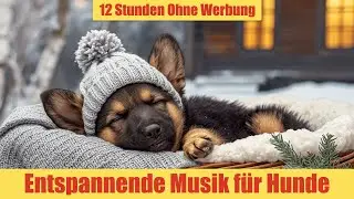 Beruhigende Musik f&uuml;r Hunde - 12 Stunden Ohne Werbung | Entspannung & tiefer Schlaf_vol.4