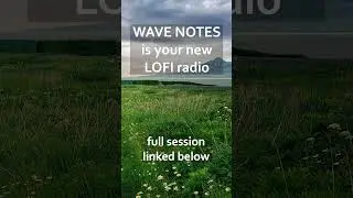 Focus on the Grind - Lofi Music to Study, Work, & Relax #shorts