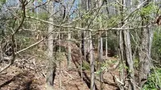 Blue Ridge Electric Co-op Passage - Palmetto Trail