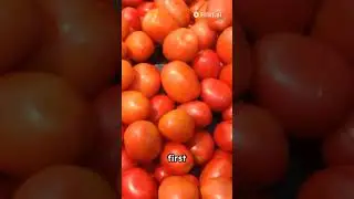 3 facts about tomato  #funnyvideo #crazy #facts #foryou #interestingfacts #shortvideo #shorts
