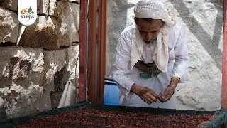 البن وحكايته  في بُرع | Coffee Wonders in Burra