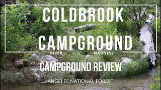 Coldbrook Campground Review Angeles National Forest