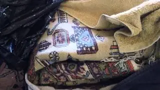Persian rug shipping www.passionofpersia.com