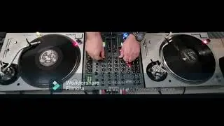 mix tribe vinyle