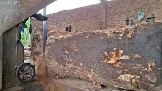 Big wood sawed, the results are amazing! everyone will love this wood 