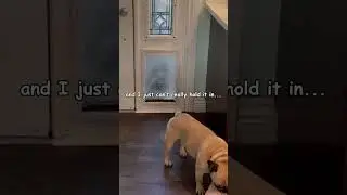 The Sniff Test