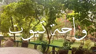 واحة تيوت إقليم تارودانت  Tioute