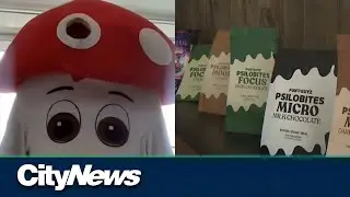 Illegal magic mushroom shop reopens in Montreal