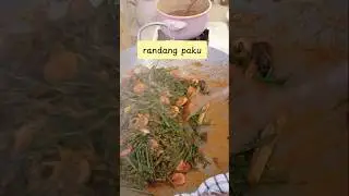 randang paki