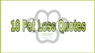 10 Pet Loss Quotes
