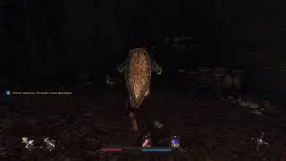 RISEN
