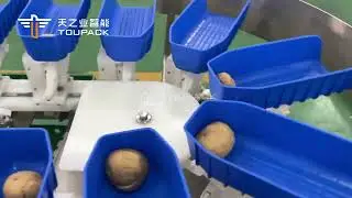 Automatic Tomato Grader Corn Food Fruit Circular Multi Weight Sorting Machine