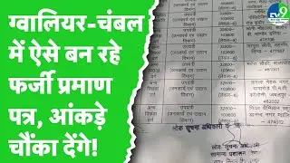 Certificate Scam: फर्जी जाति प्रमाण पत्र बनाने का हब बना ग्वालियर-चंबल संभाग