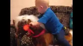 Марк - всадник! Ковбои отдыхают! :)))/Marc - Rider! Cowboys suck:)))