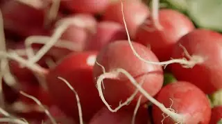 Fresh outlook for family farm thanks to Lowe's small business grant