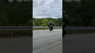 Insane Harley Dyna Wheelies! #shorts #harleydavidson #wheelie