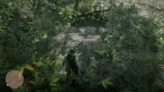 Murfree Brood Pit Trap Location #2