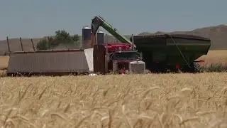 Russian invasion of Ukraine to impact U.S. agriculture