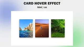 Card Hover Effect by Using (HTML - CSS)