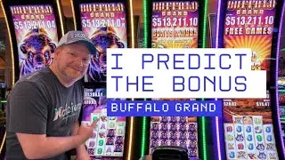 Buffalo Grand Madness: I Called the Bonus & Landed a MASSIVE Win!