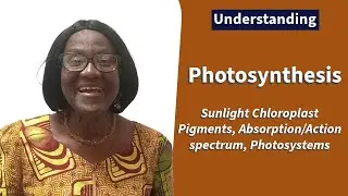 Photosynthesis: Sunlight Chloroplast Pigments, Absorption/Action Spectrum, Photosystems