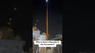 Flag pole in Gurudwara 🙏 #shorts #viral #trending #waheguru #truereview #flag #gurudwara