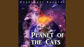 Schranz Cat2