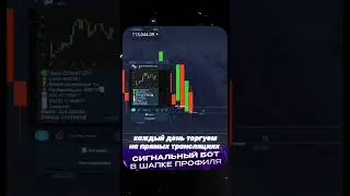 Сигнальный бот в шапке