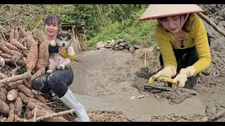Renovate ponds for geese and ducks to bathe in, process cassava tubers into animal food