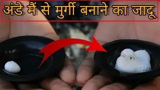 अंडे से मुर्गी बनाने का जादू Egg to Hen Magic Trick
