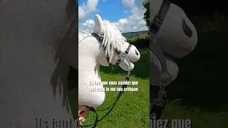 je ne mentirai pas 🙏 #equitation #hobbyhorse #viveleshh #equestrian #hh #cheval #cso #balade #kht