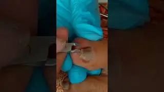 ✨ Super Satisfying Toenail ASMR ✂️💅✨🇺🇸 #nails #nailart #beauty #lifestyle 