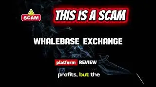Whalebase Exchange Review | Is Whalebase Legit? Crypto Exchange Platform Risk & User Awareness