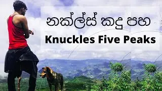 Knuckles Five Peaks | Knuckles Mountain Range in Sri Lanka | Hiking in Kandy
