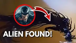 Alien Life Found After Meteorite Crash in Panama?!