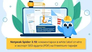 Netpeak Spider 3.10: комментарии в white label отчёте и экспорт SEO-аудита (PDF) на Freemium-тарифе