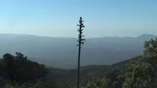 Chile 79: La Serena: day-trip to very unique Fray Jorge National Park   SD 480p