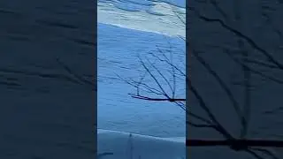 Lake frozen Paul abventures is live!#beutifull #winter #weather #wildlife #nature #love#subscribe